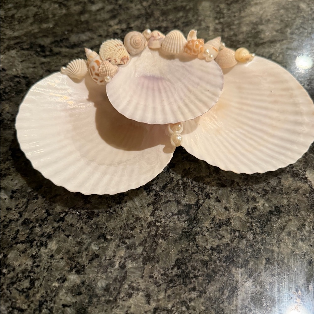 🐚 Elegant Cream Shell Decor